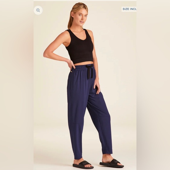 NWT ALALA Commuter Pant Navy s $145 bandier carbon38 - Picture 2 of 10